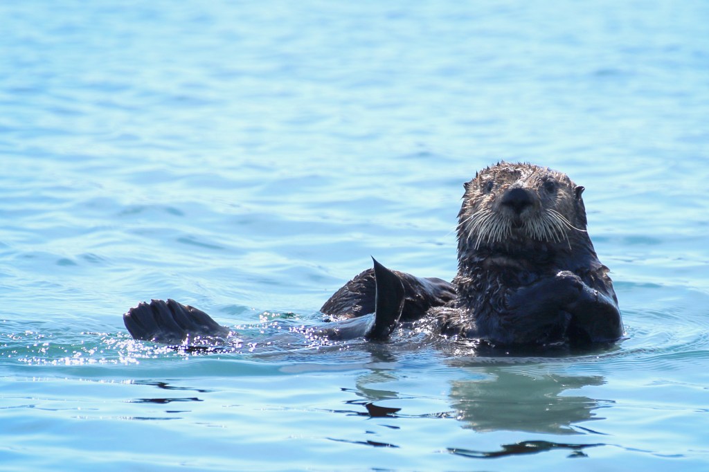 AK_53015_ 0014_edit3