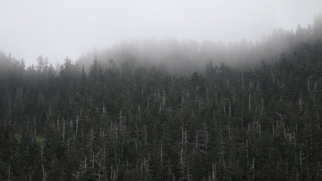 Another stunning scene from Kenai Fjords National Park on Saturday, June 20, 2015. 