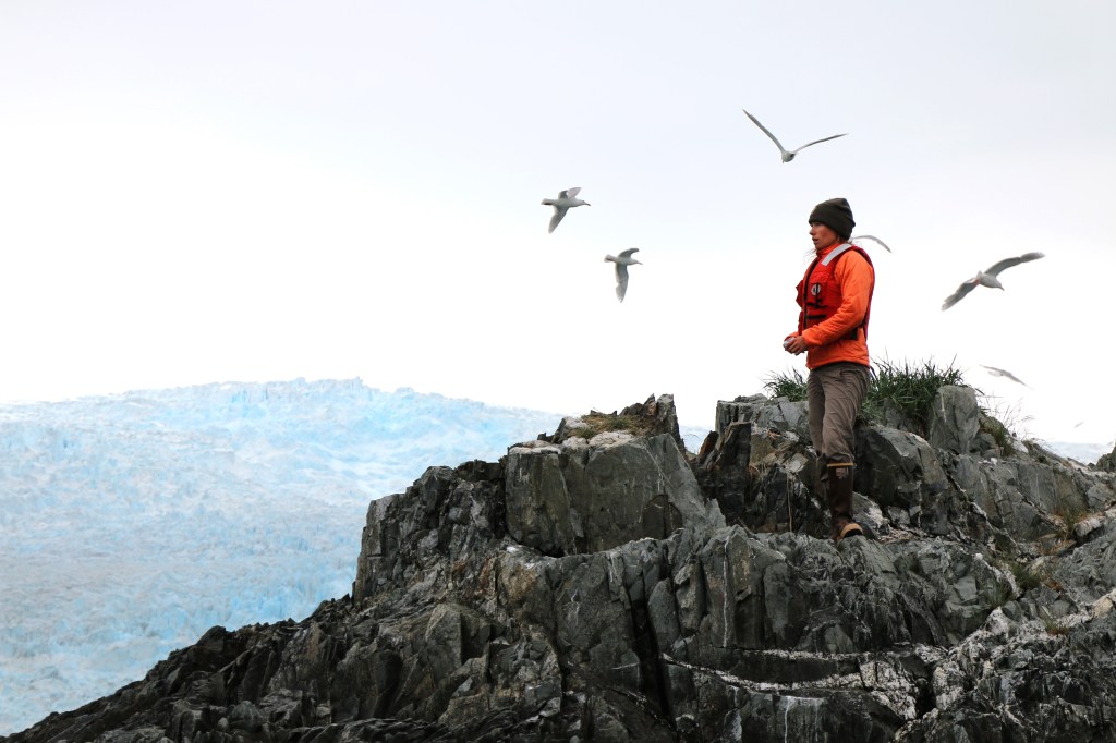 Elisa Weiss scans Squab Island for a nest of Black Oyster Catchers in Kenai Fjords National Park.Elisa is a biologist from Hawaii participating in the Inventory and Monitoring Near Shore Project in the Alaska region, which aims to collect yearly data from a variety of near shore ecosystems through out Alaska. 