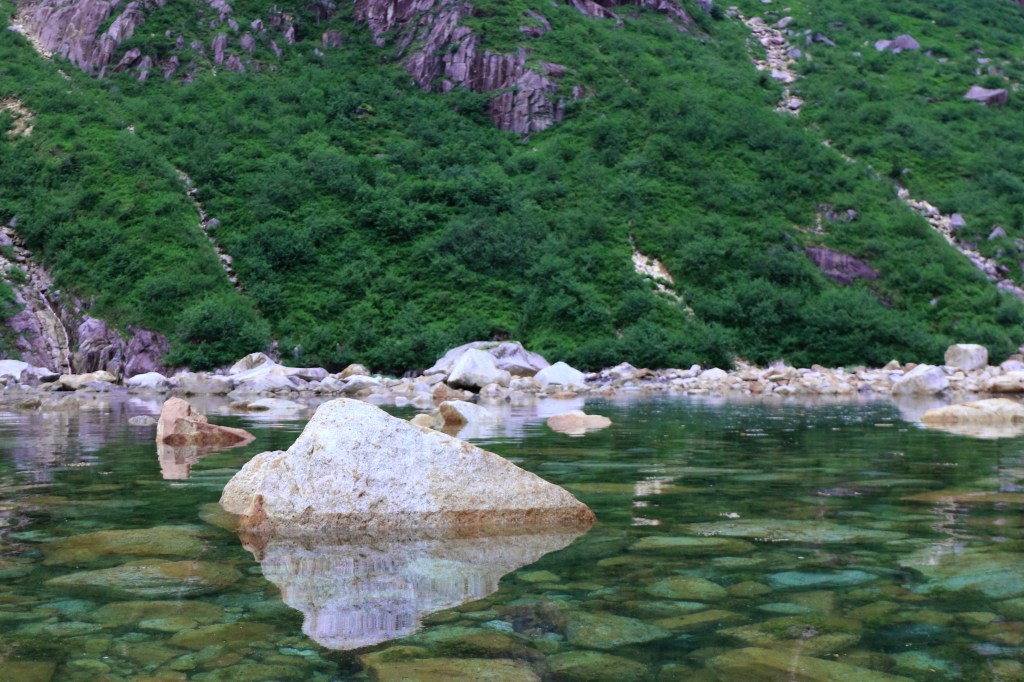 A Rock garden in Coleman Bay. Saturday, June 20, 2015. 