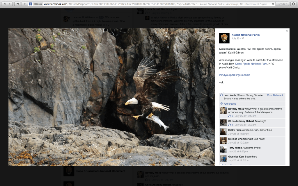 Screen Shot 2015-07-30 at 3.49.14 PM