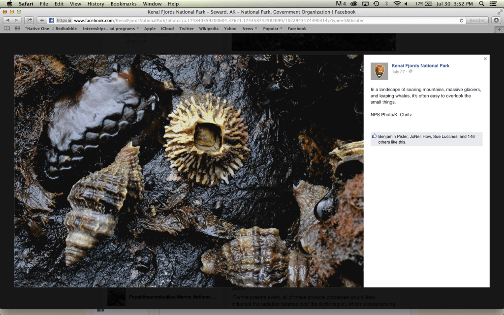Screen Shot 2015-07-30 at 3.52.35 PM